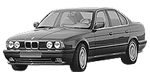 BMW E34 P1429 Fault Code